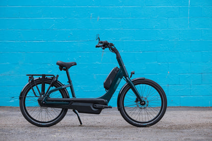 Gazelle Easyflow C7 Electric Bike