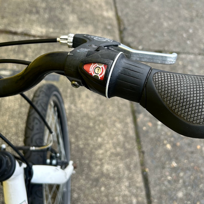 Batavus B130 Personal Bike