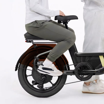 Segway Muxi Pro Passenger Kit