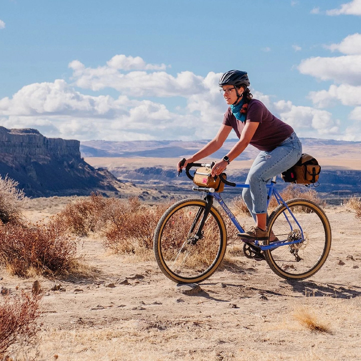 Swift Industries Kestrel Handlebar Bag - Coyote