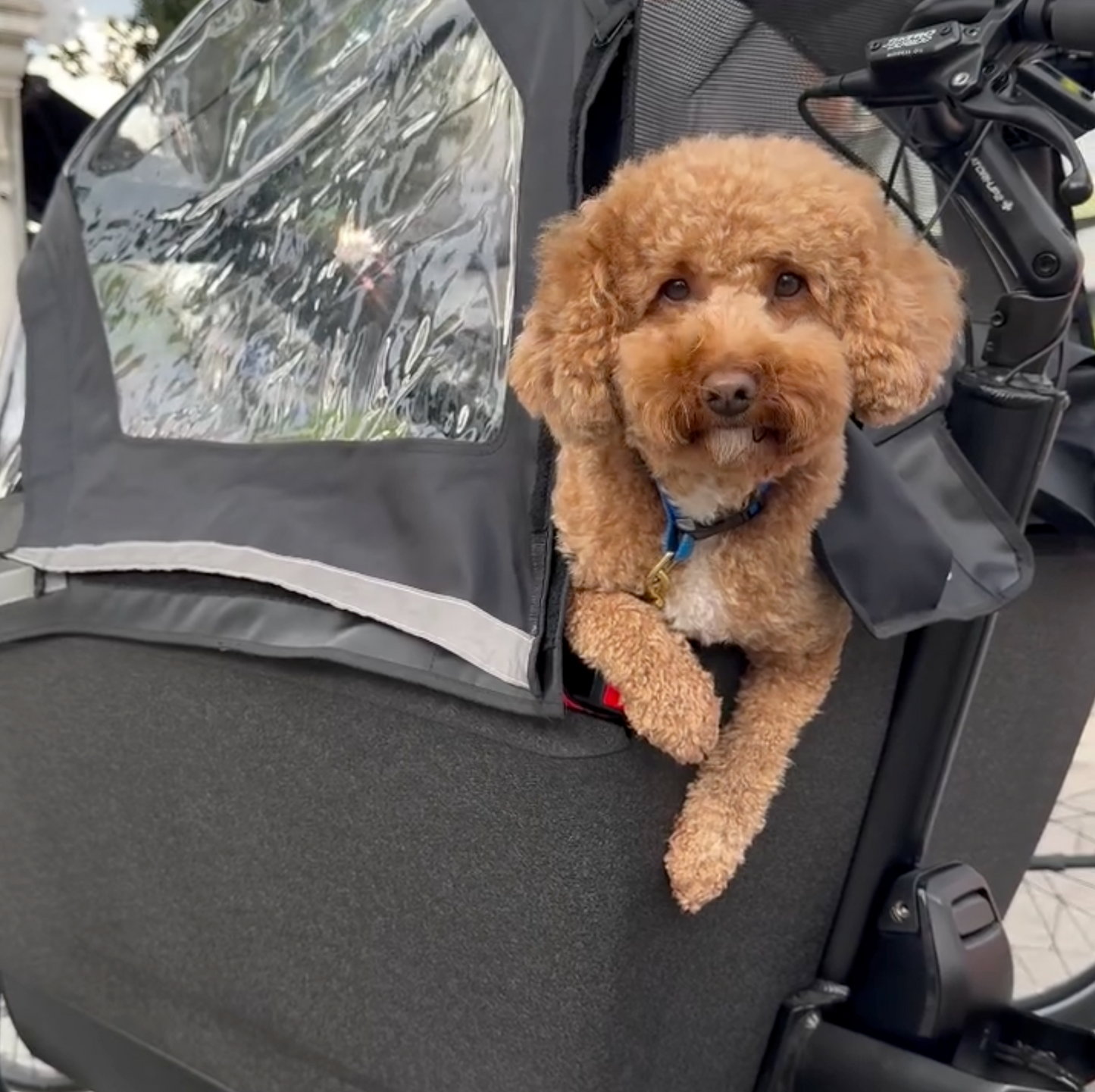 Urban Arrow Family Electric Cargo Bike Performance Motor Bosch SMART System