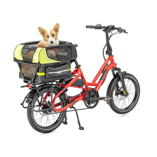 Tern Dog Roof Mini