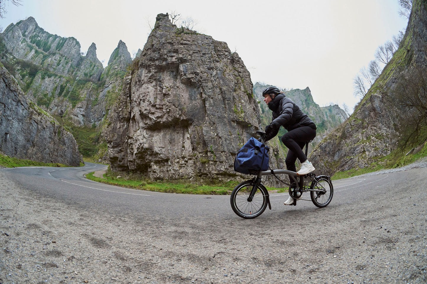 Brompton T Line 12 Speed