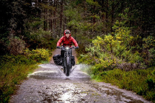 Tern Orox S12 Electric Cargo Bike