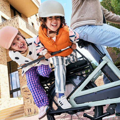 Urban Arrow Breeze Protection Bar