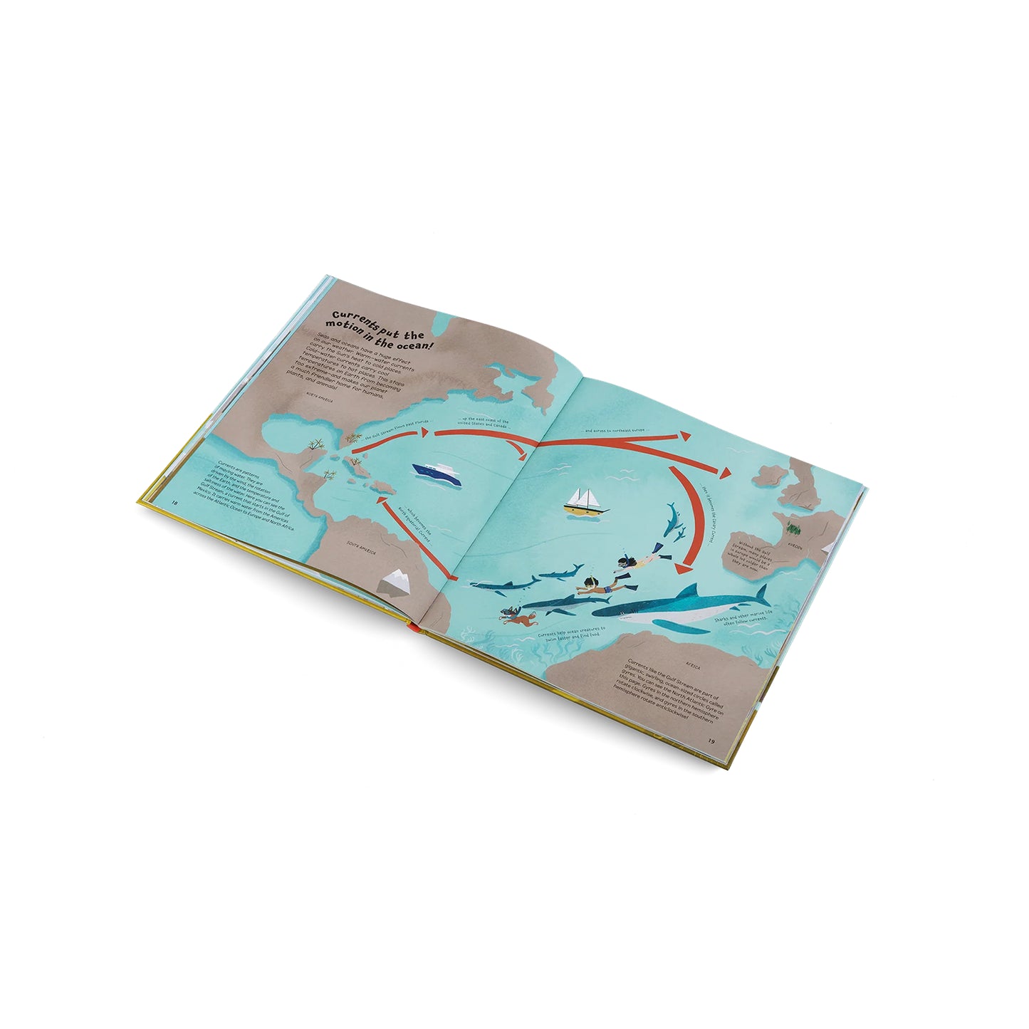 Whatever the Weather – Learn About Sun, Wind, and Rain Book