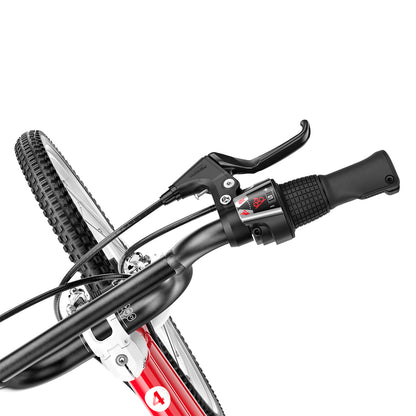 Woom GO 4 20-Inch (20") Kids' Bike