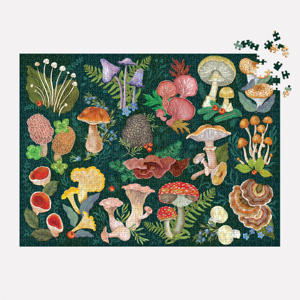World of Mushrooms 1000 Piece Puzzle by Galison