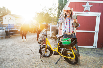 Benno RemiDemi Electric Utility Bike – Bosch Powered