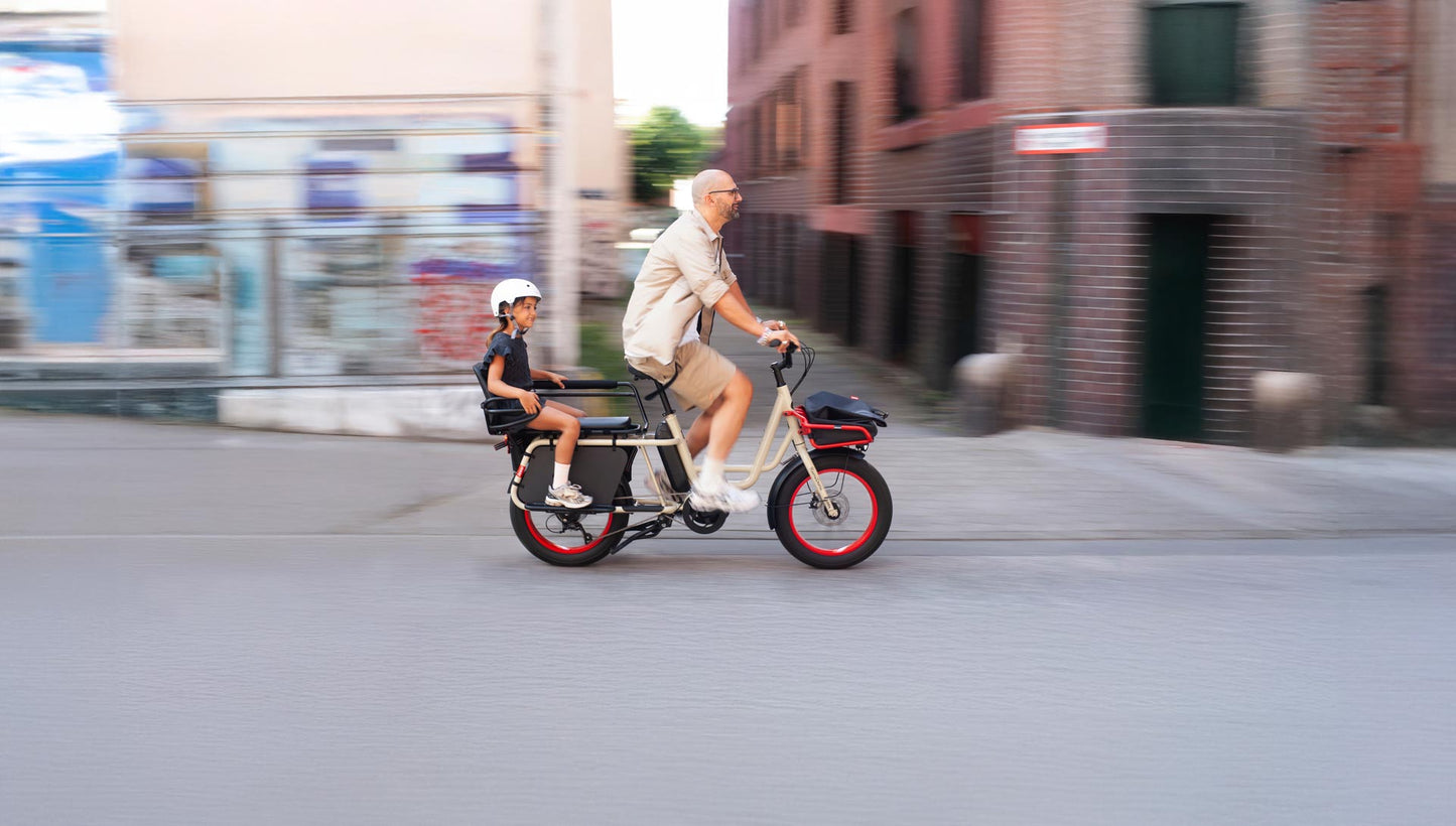 Benno RemiDemi XL 9D Evo 3 Performance Line Sport Class 3 Ebike