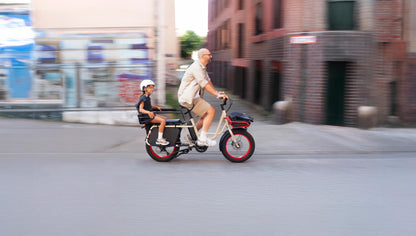 Benno RemiDemi XL 9D Evo 3 Performance Line Sport Class 3 Ebike