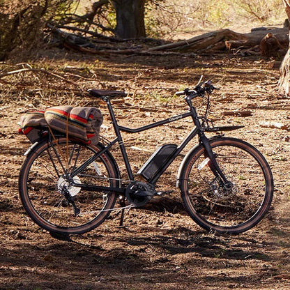 Bluejay Sport Class 3 Electric City Bike