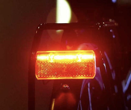 B&M Toplight Line E-Bike Taillight, 6V, No Standlight