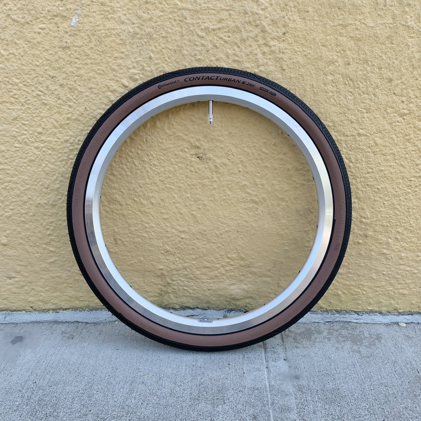 Continental Contact for Brompton 16x1.35 35-349