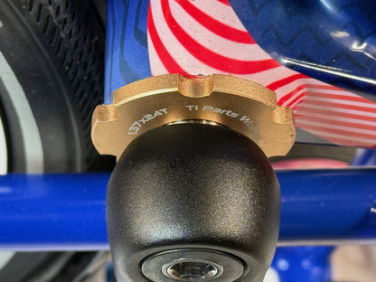 Brompton P Line 12 Speed Omakase Paris Limited Edition - Mid