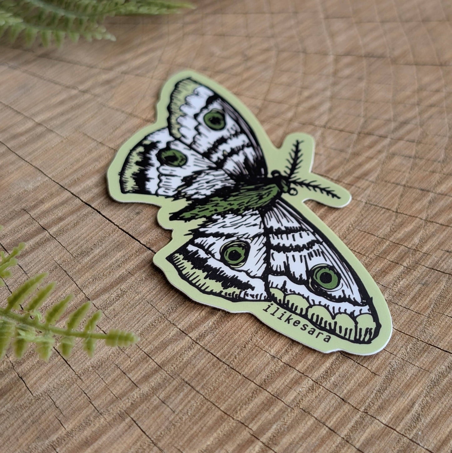 ilikesara | art + goods - Sticker | polyphemus moth - waterproof uv-resistant vinyl bug / insect decal