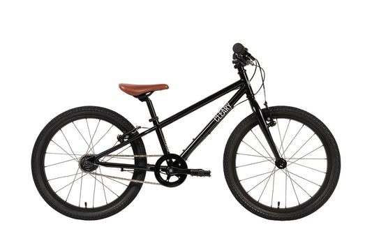 Cleary Owl Single-Speed 20-Inch Kids' Bike