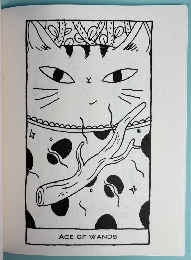Microcosm Publishing & Distribution - Magickal Cats Tarot Coloring Book