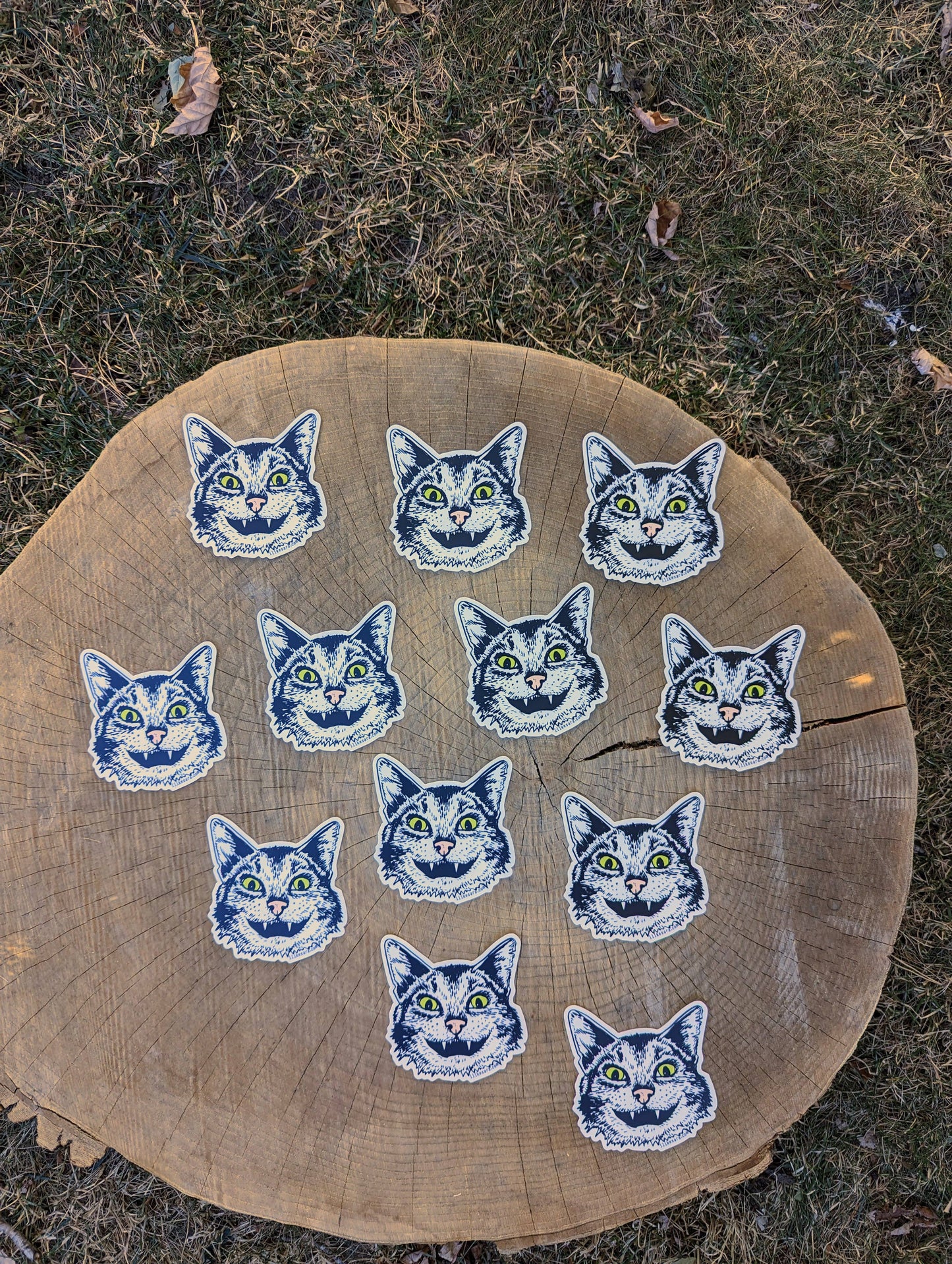 ilikesara | art + goods - Sticker | cat face - waterproof uv-resistant vinyl Western kitty decal