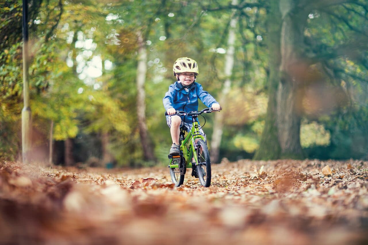 Frog 44 Single-Speed 16-Inch Kids' Bike