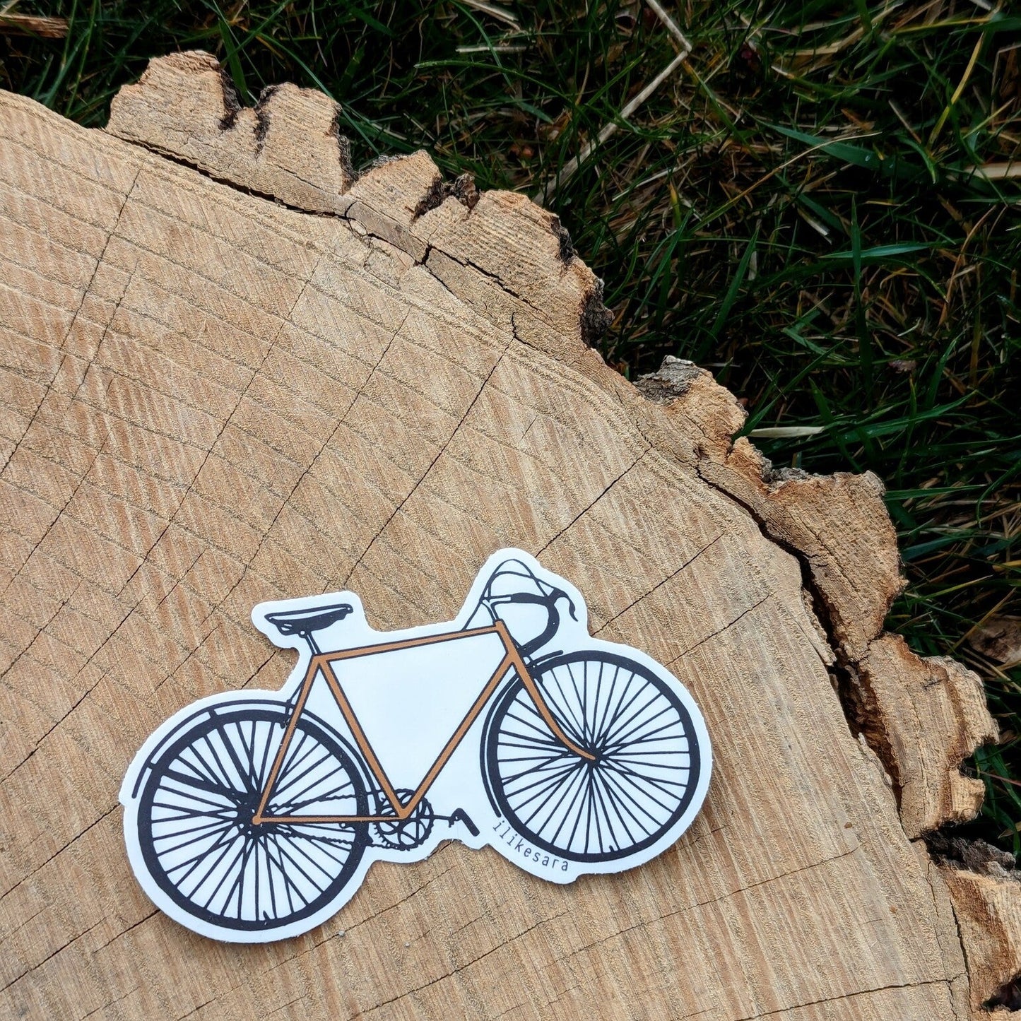 ilikesara Bike with Fern Sticker