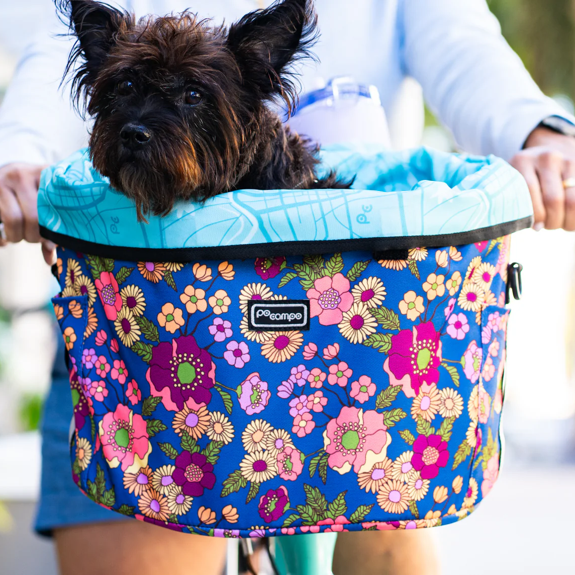 Po Campo Pinellas Bike Basket