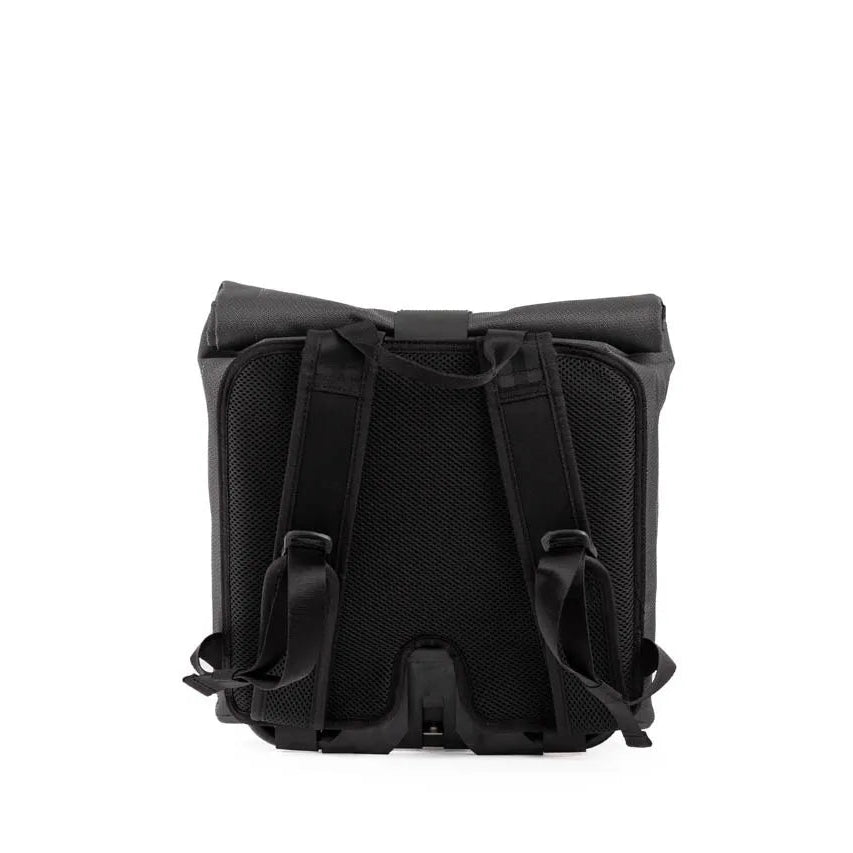 Black backpack shown from the back view on a solid white background.