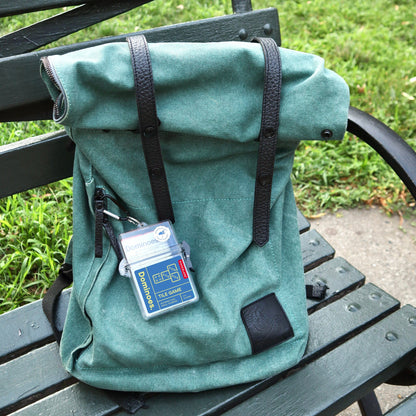 Kikkerland Dominoes. Portable Game