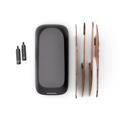 Segway Muxi Pro Passenger Kit