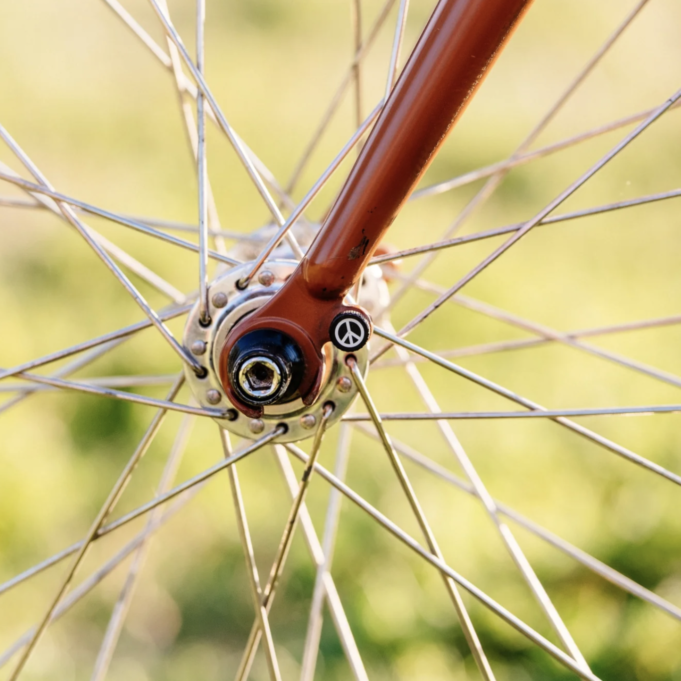 Close-up of a bicycle wheel hub with blurred green background