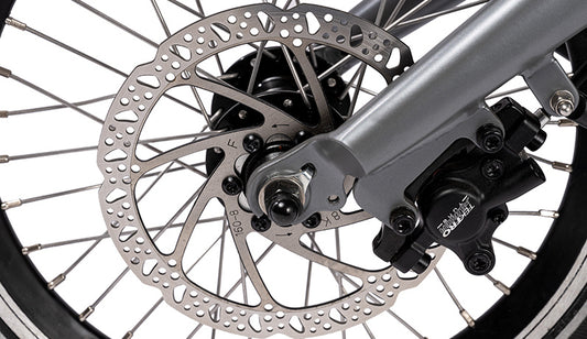 Pfautec Scoobo Electric Trike