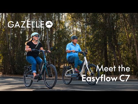 Gazelle Easyflow C7 Electric Bike – Clever Cycles | Bikes & Ebikes