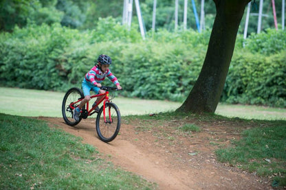 Frog 55  Multi-Speed 20-Inch Kids' Bike