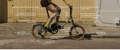 Brompton x Tour de France P Line 12 Speed - Sprinters Light Green - Low