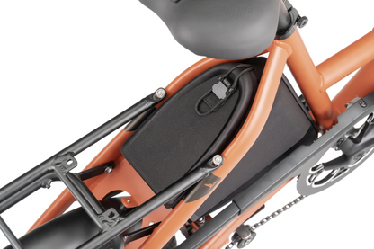 Tern Carryall Trunk for Quick and Short Haul