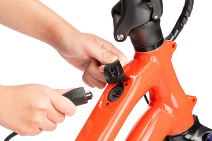 Tern HSD Gen 2 P10 Electric Cargo Bike