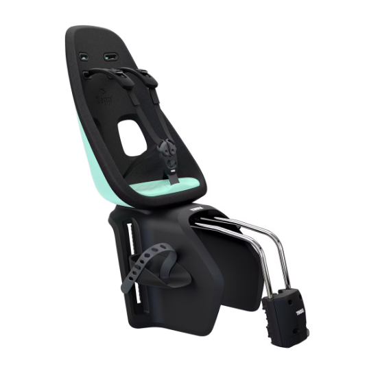 Thule Yepp Nexxt Maxi Child Bike Seat