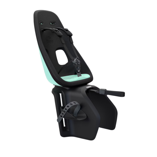 Thule Yepp Nexxt Maxi Child Bike Seat