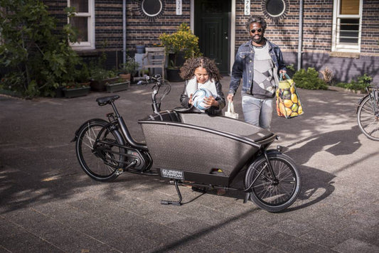 Urban Arrow Family Electric Cargo Bike Performance Motor