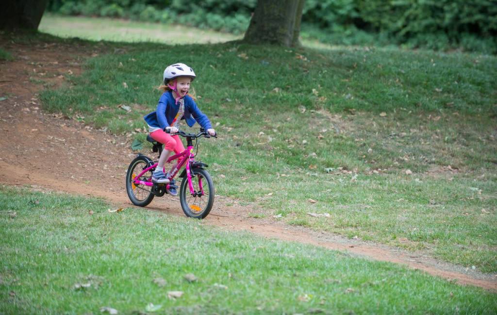 Frog 44 Single-Speed 16-Inch Kids' Bike